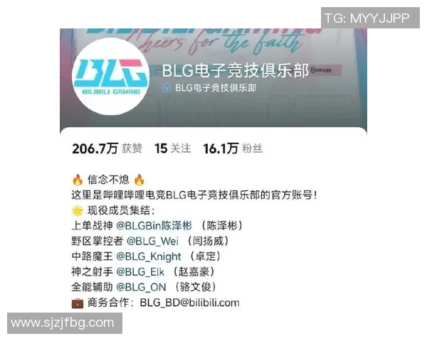 s15电竞英雄联盟新手玩家必看力量入门指南全方位解析与技巧分享