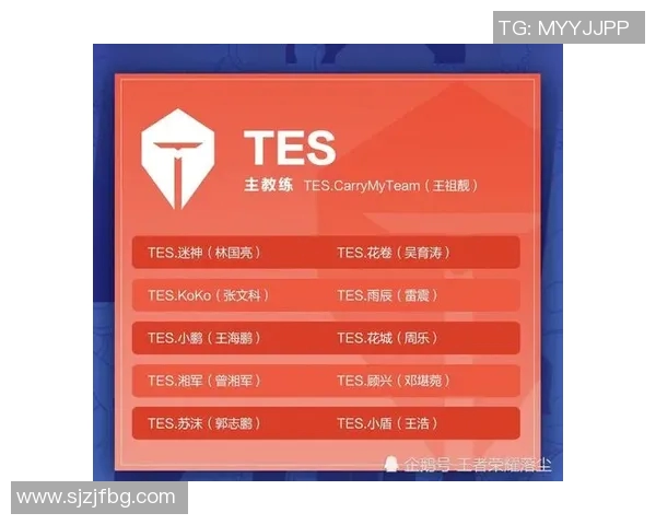 王者荣耀S15赛季聚焦TES战队灵活战术与多样化阵容解析