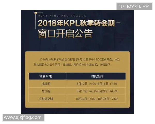 深入分析TES战队在王者荣耀赛事中的防守策略与表现